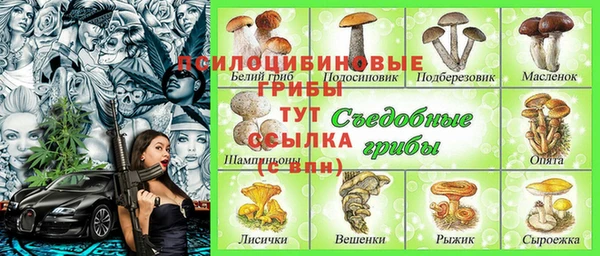 шишки Верея