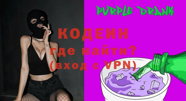 шишки Верея