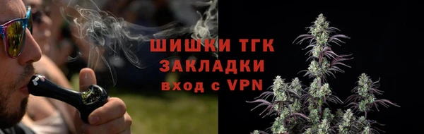 шишки Верея