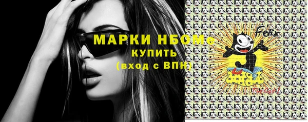 шишки Верея