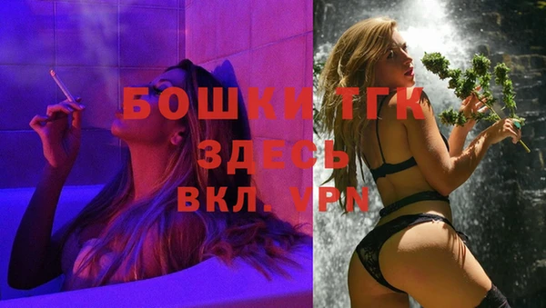 стаф Карпинск