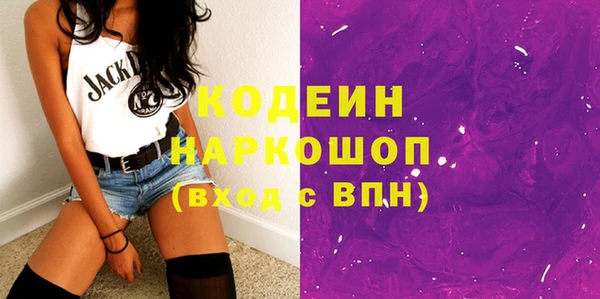 шишки Верея